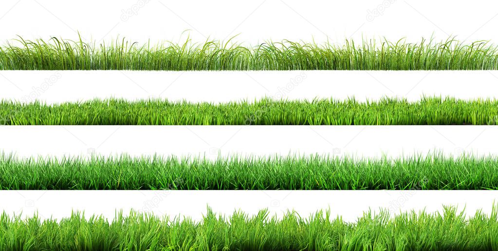 a grass isolated set