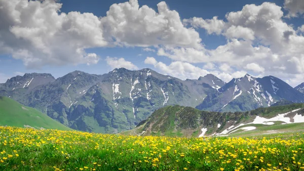 Belas Montanhas Paisagem Com Flores — Fotografia de Stock