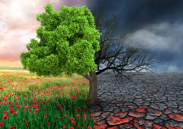 Οικολογική Αντίληψη Δέντρο Και Την Κλιματική Αλλαγή Τοπίου — Φωτογραφία Αρχείου