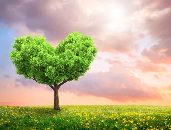 Green Spring Landscape Tree Heart Shape — Stock Photo, Image