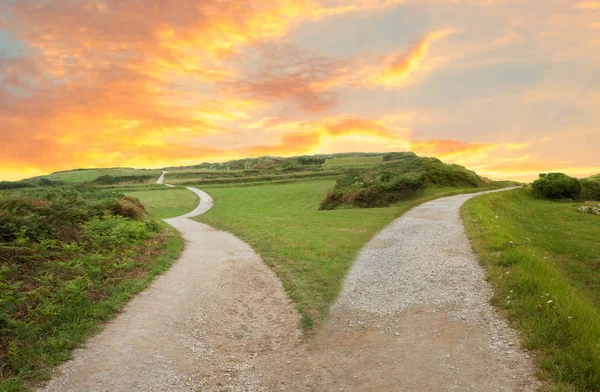 Fork Road Concept Image — Stock Photo, Image