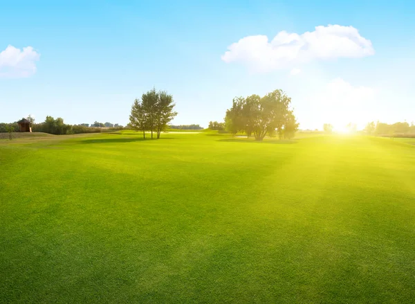 Idyllic Field Landscape Grass Sun — Stock Photo, Image