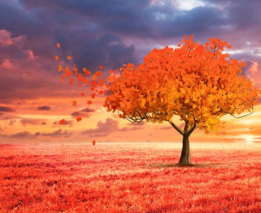 fantezi manzara kırmızı sonbahar ağacı