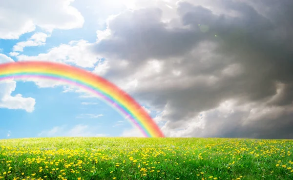 Jarní Krajina Pole Květinami Rainbow — Stock fotografie