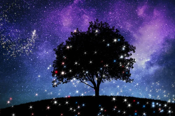 Magico Paesaggio Notturno Con Albero Cielo Stellato — Foto Stock