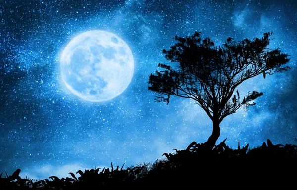 Νύχτα Μαγικιά Τοπίο Έναστρο Ουρανό Και Φεγγάρι — Φωτογραφία Αρχείου