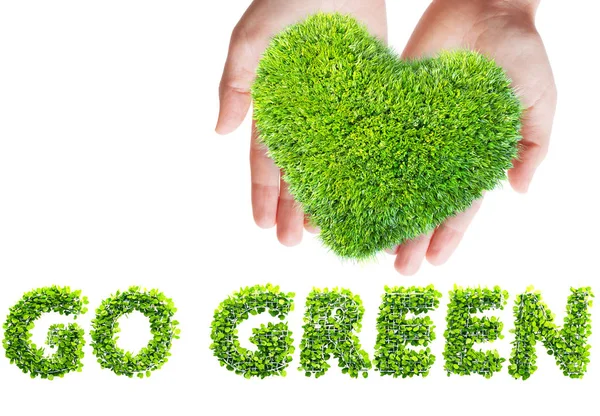 Πράσινα Φύλλα Σχήμα Καρδιάς Πηγαίνετε Πράσινο Απεικόνιση — Φωτογραφία Αρχείου