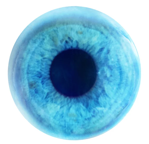 Olho Azul Isolado Sobre Branco — Fotografia de Stock