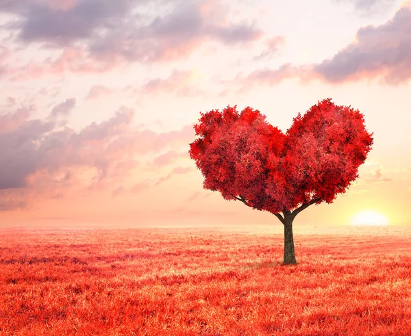 Paysage Fantastique Avec Arbre Rouge Forme Coeur — Photo