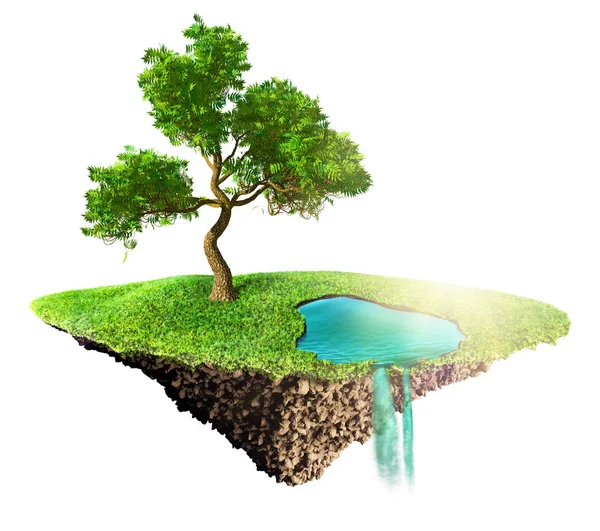 Erba Verde Isola Con Albero Acqua Sfondo Bianco — Foto Stock