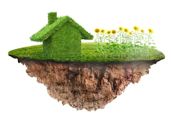 Miljövänliga Hus Konceptet Gräs — Stockfoto