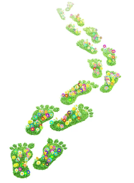 Foot Print Made Green Grass Flowers Isolated — Stock Photo, Image