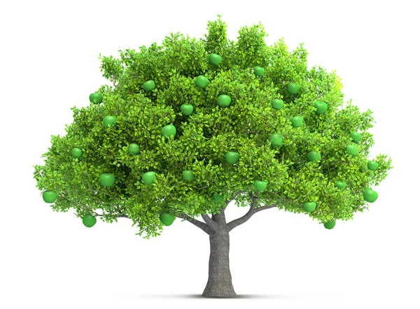 Albero Mele Verde Isolato Illustrazione — Foto Stock