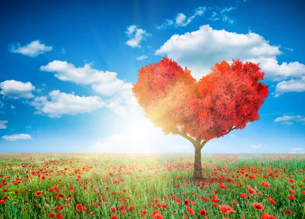 Fantasy Valentines Landscape Red Tree Shape Heart — Stock Photo, Image