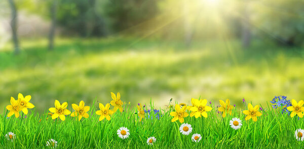 fantasy spring forest meadow with flowers and grass