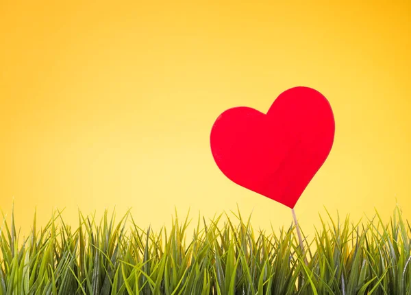 Donor Day Concept Heart Grass — Stock Photo, Image