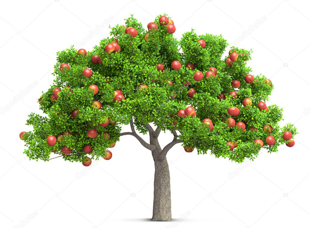 red apple tree isolated 3D illustration