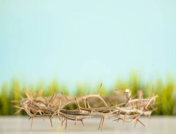 Korona Cierniowa Trawa Tło Wielkanoc — Zdjęcie stockowe