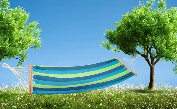 Relaxing Hammock Backyard Spring Flowers Grass Garden — Stock Photo, Image