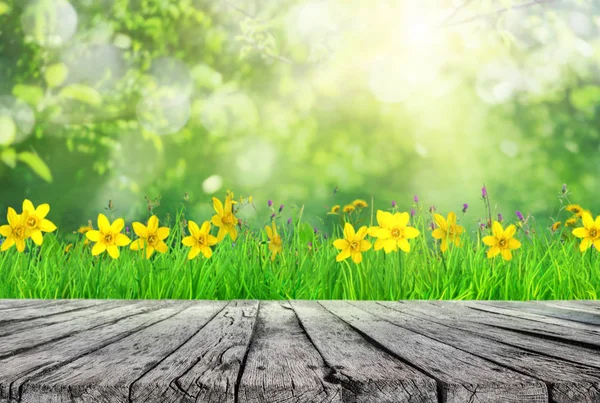 Tavolo Legno Erba Primaverile Con Fiori Foglie Albero Sfondo — Foto Stock