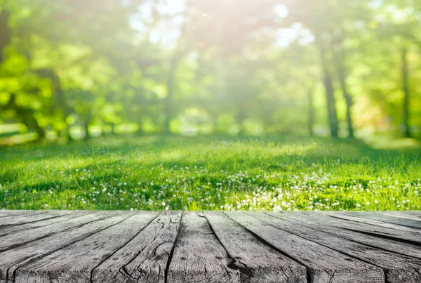 Table Bois Herbe Printemps Avec Des Fleurs Des Feuilles Arbre — Photo