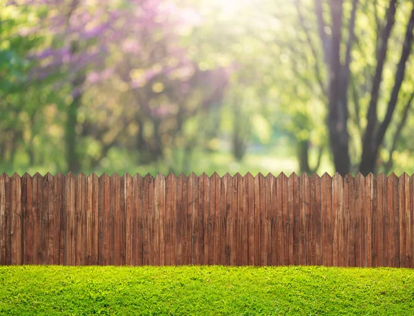 Kerítés Kertben Virágos Tavasszal — Stock Fotó