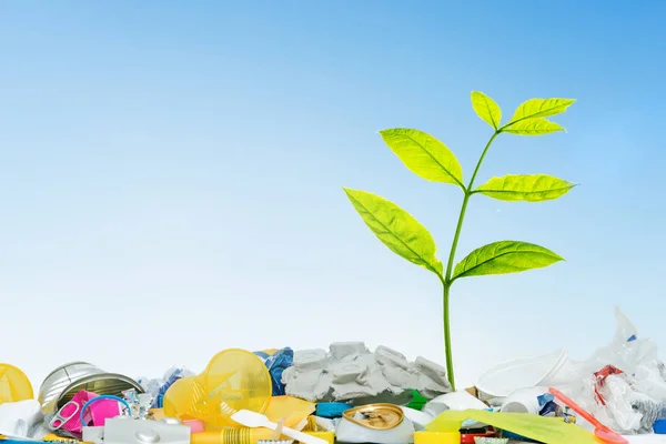 Small green plant grows through plastic trash — Stock Photo, Image