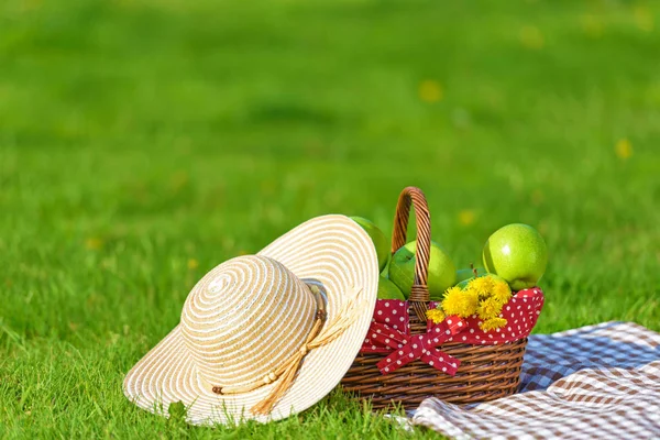 Cesta de picnic con manzanas y manta al aire libre en el parque — Foto de Stock