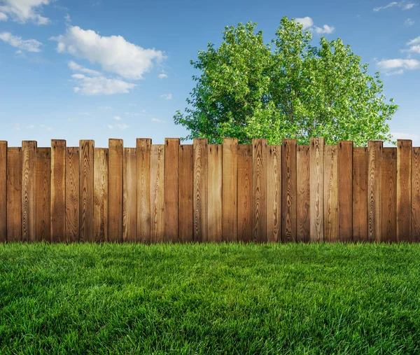 Spring tree in backyard and wooden garden fence — Stock Photo, Image