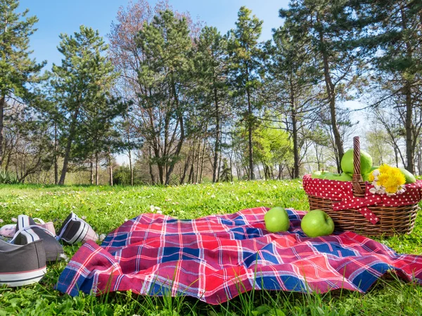 Bir piknik arka plan ile sepet ve battaniye açık havada — Stok fotoğraf