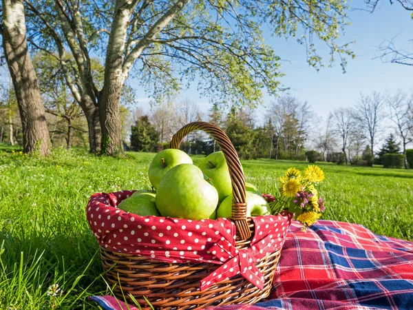 Picknickkorg med äpplen och filt utomhus i parken — Stockfoto