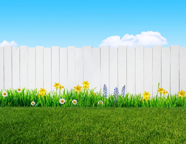 Flores de primavera y cerca de jardín de madera — Foto de Stock