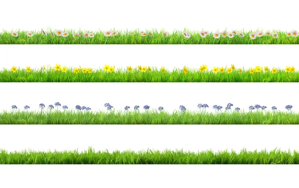 En vårgräs med Daisy och Narcissus blommor isolerade — Stockfoto