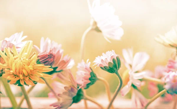 Un hermoso fondo de flores pastel, diseño de ramo de primavera — Foto de Stock