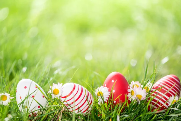 Jajka wielkanocne w trawie i kwiatach — Zdjęcie stockowe