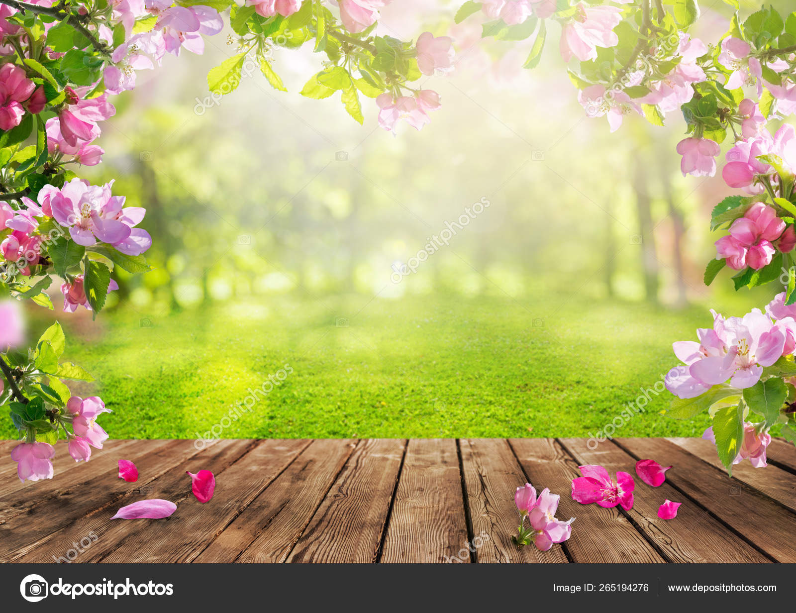 A spring flowers background, pink blossoms on wooden table — Stock Photo ©  varuna #265194276, image size:1600x1232