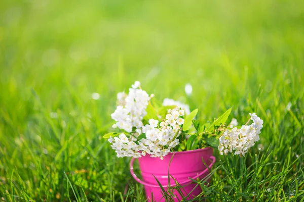 양동이에 흰색 봄 꽃의 꽃다발, 아름다운 봄 바 — 스톡 사진