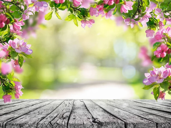 Een lente bloemen achtergrond, roze bloesem op houten tafel — Stockfoto