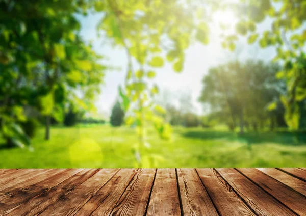 Un tavolo in legno e sfondo foresta primaverile — Foto Stock