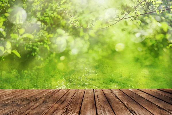 Tavolo in legno e foresta di primavera sfondo — Foto Stock