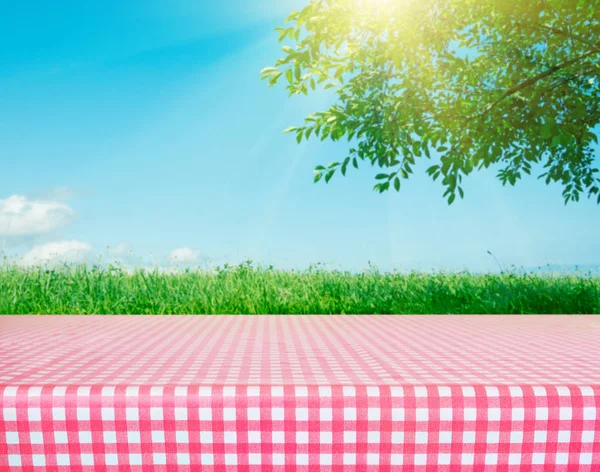 Damalı masa örtüsü ile kaplı bir Piknik masası — Stok fotoğraf