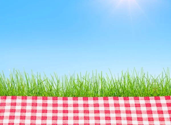 damalı masa örtüsü ile kaplı bir Piknik masası