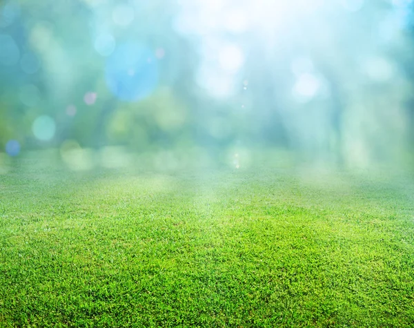 Natuurgras achtergrond — Stockfoto