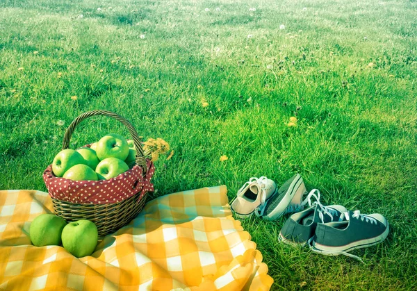 Picknickmand en geruite picknick deken — Stockfoto