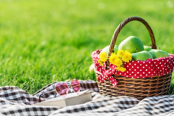 Ein Picknicktisch mit karierter Tischdecke und Picknickkorb — Stockfoto