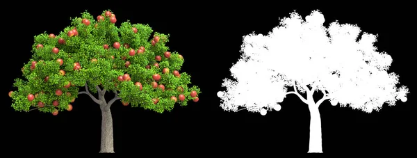 Een rode appelboom geïsoleerd 3D illustratie — Stockfoto