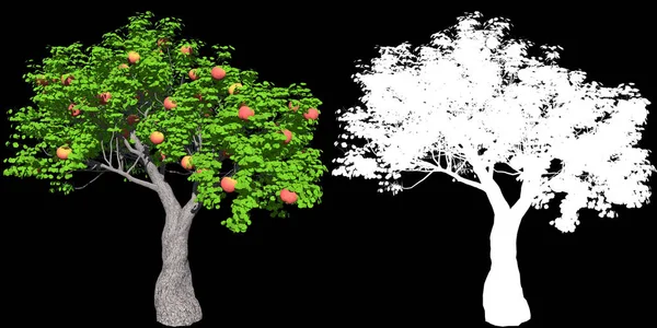Een rode appelboom geïsoleerd met masker voor eenvoudige isolatie van achteren — Stockfoto