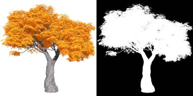 kırmızı sonbahar akçaağaç ağacı kolay izolasyon için maske ile izole