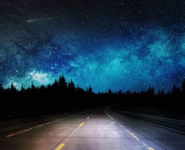 orman ve yıldızlı gökyüzü ile karanlık gece yolu
