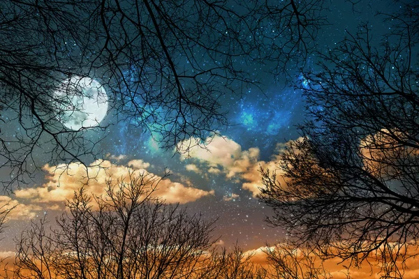 En natthimmel bakgrund med stjärnor, måne och moln genom träd — Stockfoto